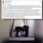 中国男子在泰国公寓暴走持刀捅人！-白菜网导航-白菜网社区-白菜网论坛