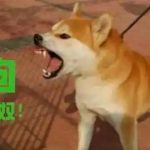 网赌赌狗日记-白菜网导航-白菜网社区-白菜网论坛