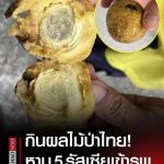 泰危险！多名俄罗斯游客在泰食用“野果”后紧急入院！-白菜网导航-白菜网社区-白菜网论坛