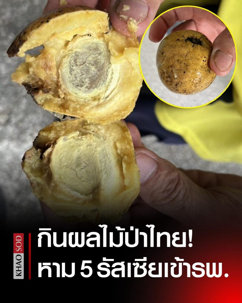 泰危险！多名俄罗斯游客在泰食用“野果”后紧急入院！-白菜网导航-白菜网社区-白菜网论坛
