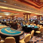 白菜论坛日活数据分析：揭示社区活跃趋势-白菜网导航-白菜网社区-白菜网论坛