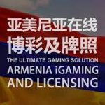 足球博彩中的大小球分析:如何根据球队风格判断总进球数?-白菜网导航-白菜网社区-白菜网论坛